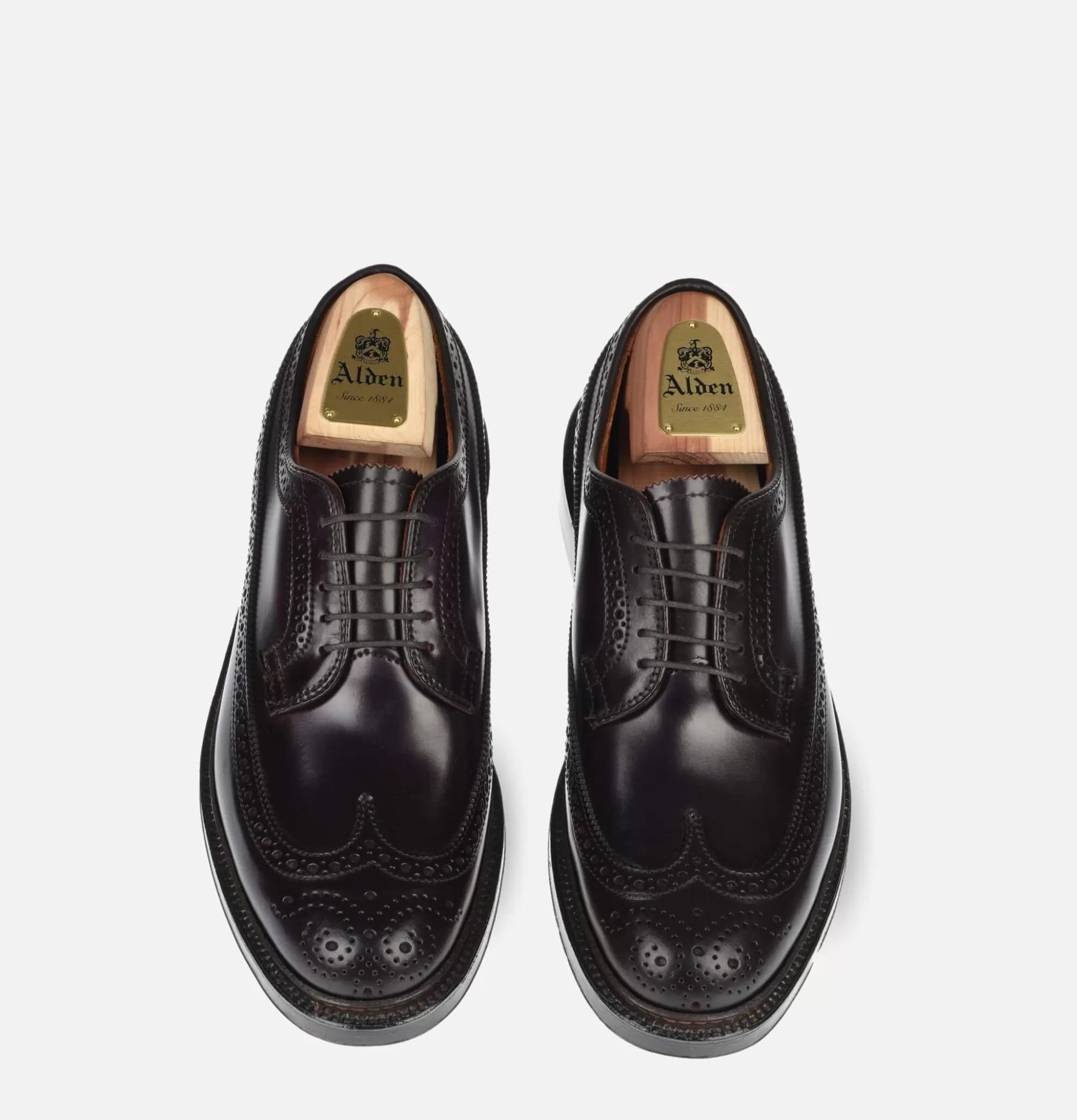 ALDEN SHOE CO 975 - Long Wing Cordovan^Homme Chaussures