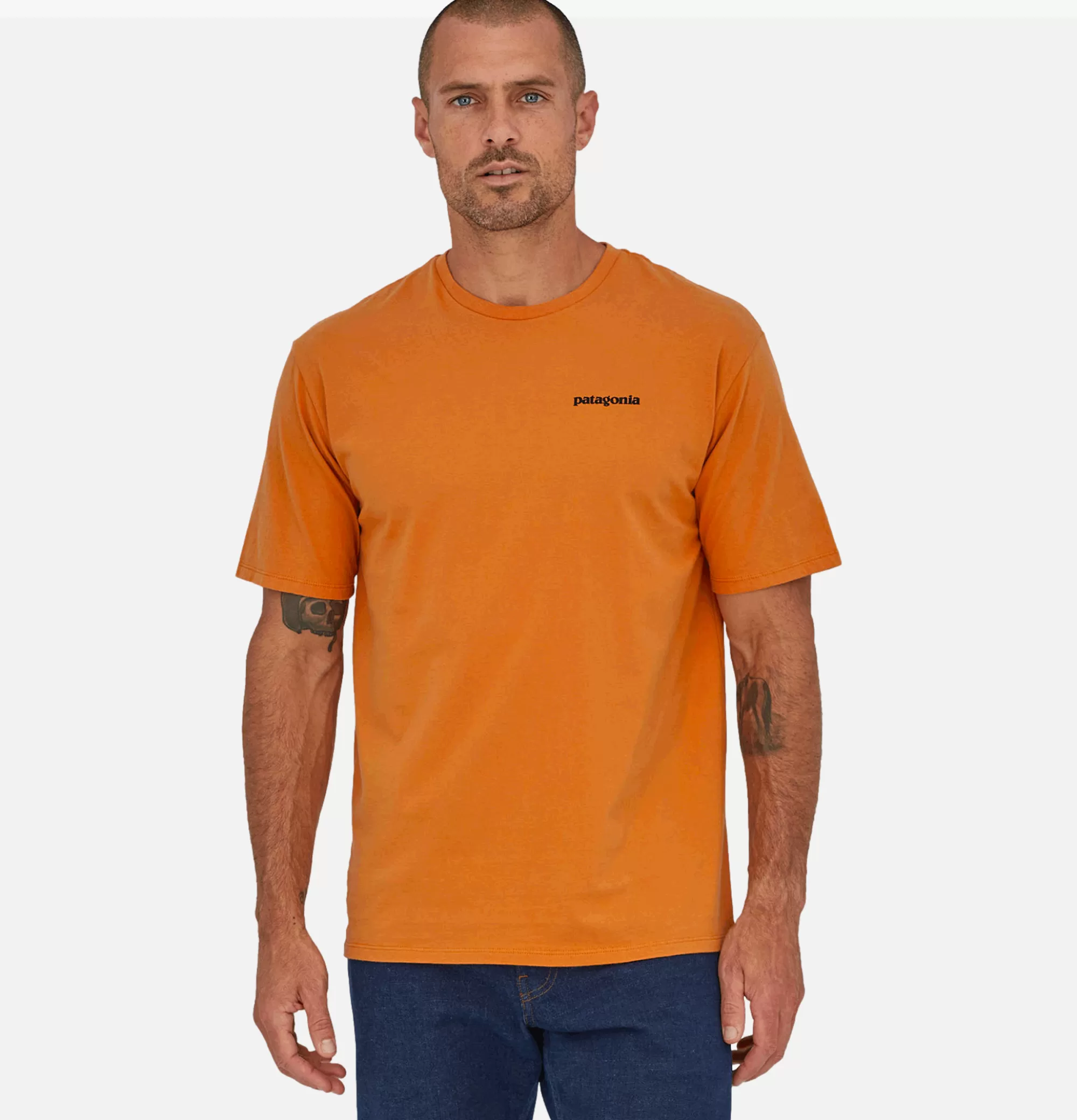 PATAGONIA T-Shirt P6 Mission Cloo^ T-Shirts