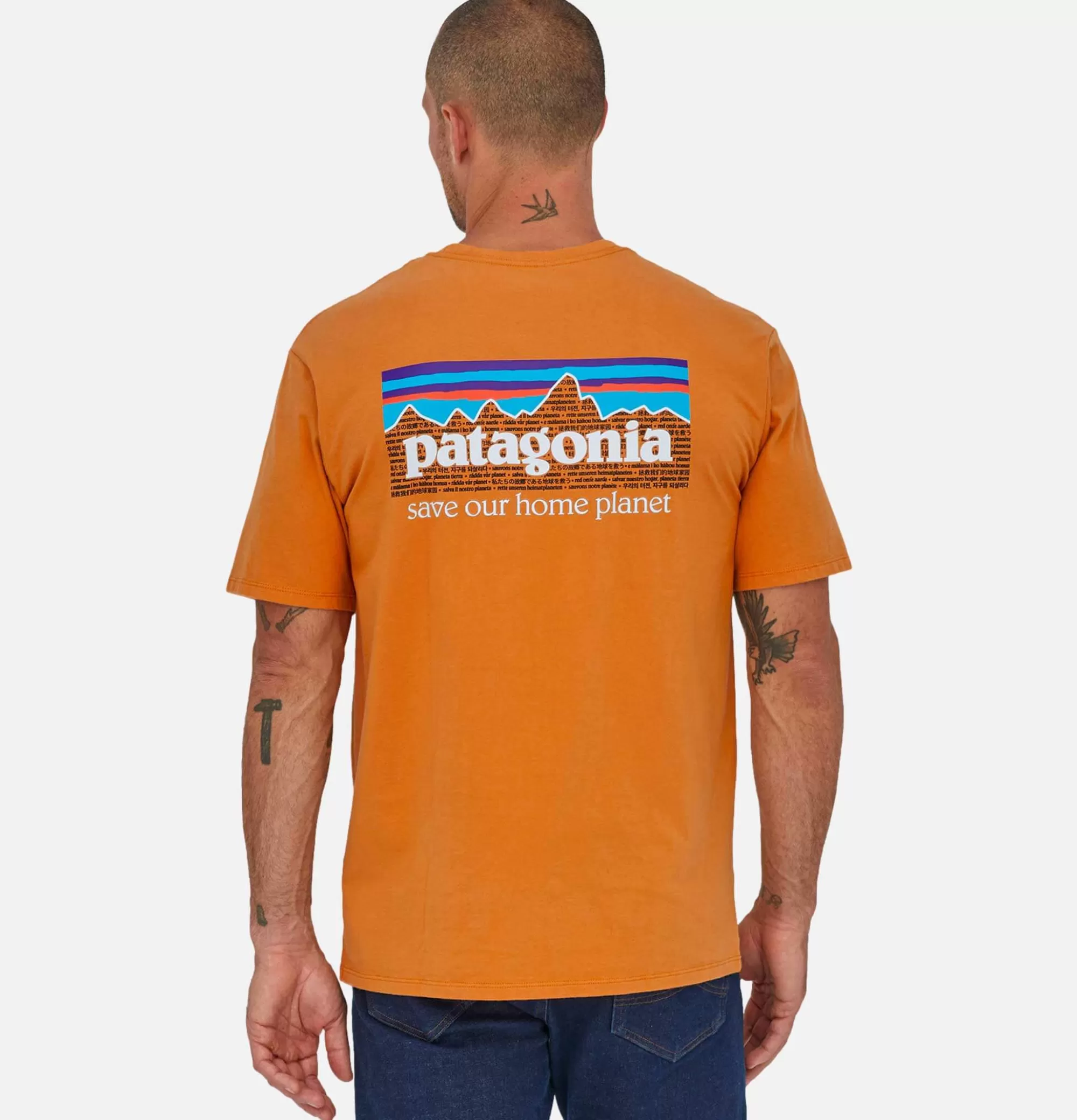 PATAGONIA T-Shirt P6 Mission Cloo^ T-Shirts